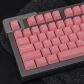 Peach Blossom GMK ABS Doubleshot 104+67 Full Double Shot Keycaps for Cherry MX Mechanical Gaming Keyboard 84/75/980